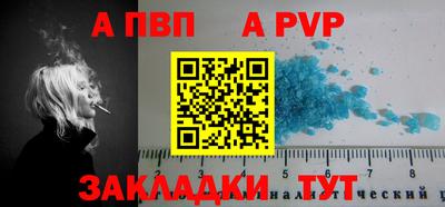 эйфоретик Тара
