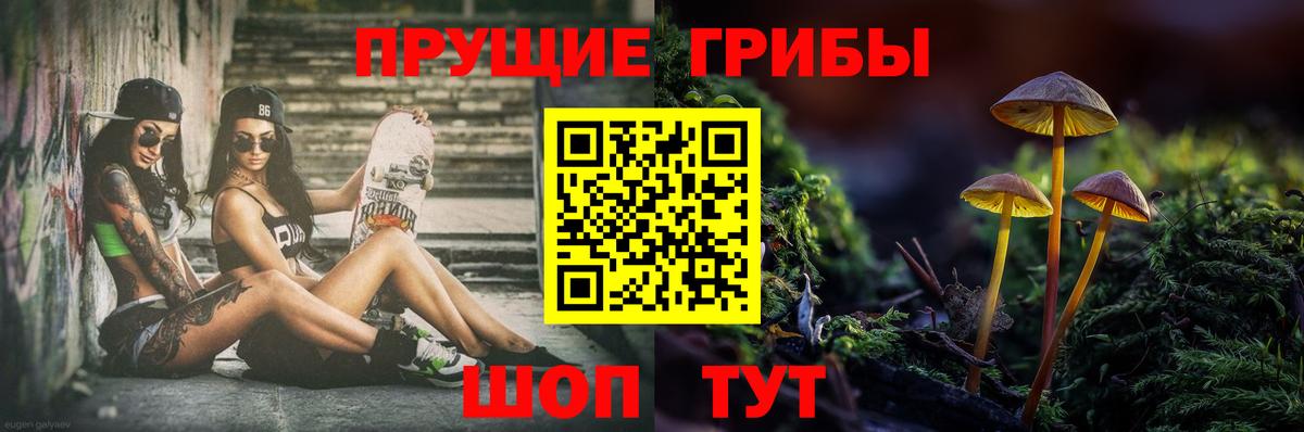 Галлюциногенные грибы MAGIC MUSHROOMS  Псилоцибиновые грибы GOLDEN TEACHER  Вход с VPN  Кудрово 
