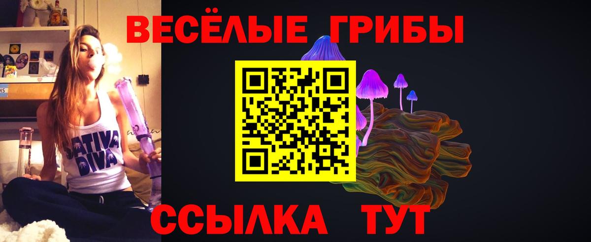 Псилоцибиновые грибы GOLDEN TEACHER Кудрово
